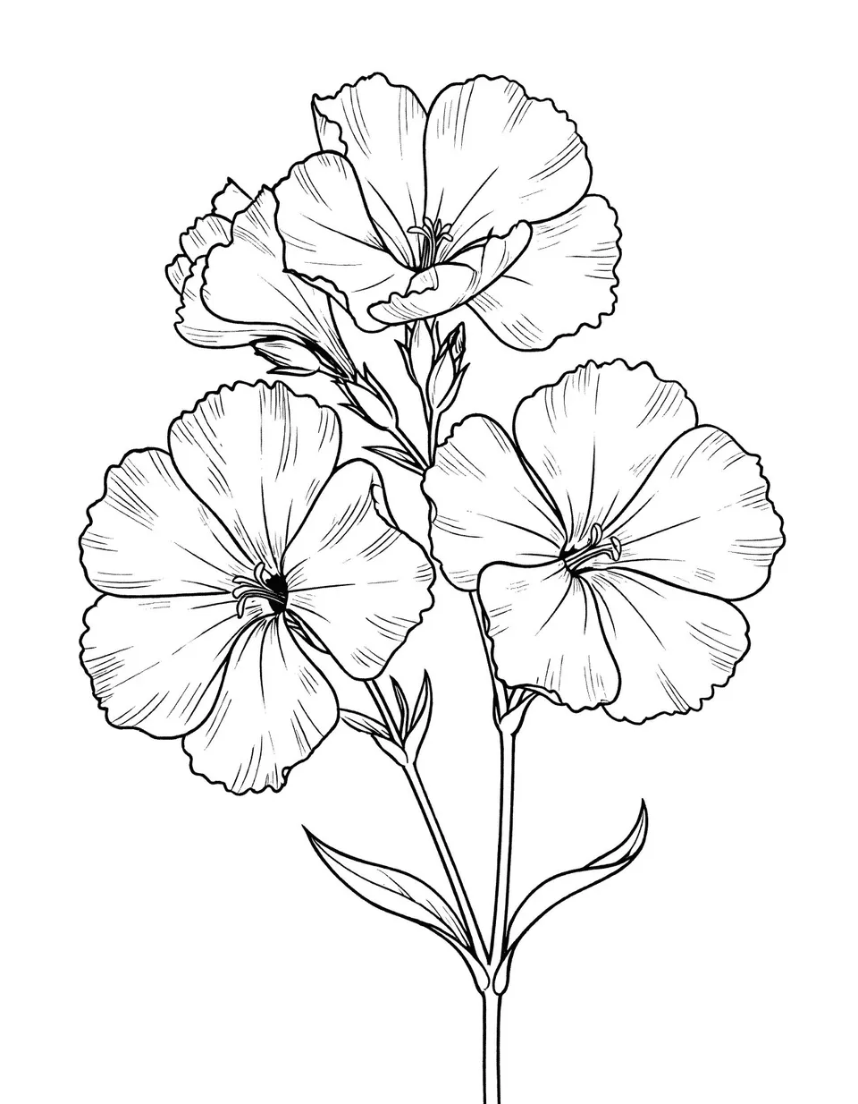 Interior page — 50 Meadow Flowers